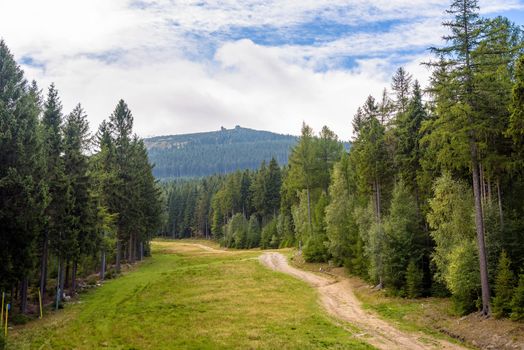 Summer view of forest path on slope of Szrenica Mountain in Giant Mountains in Poland