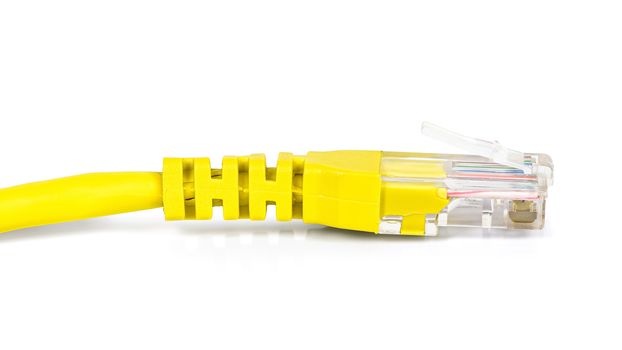 Yellow network plug isolated on white background with clipping path