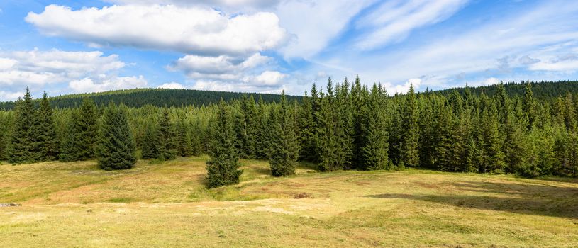 Panoramic summer view of Jizera Mountains landscape in southern Poland