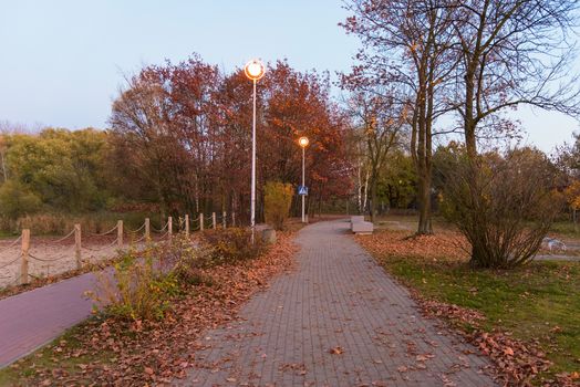 Alley and bicycle path at Pogoria III lake in Dabrowa Gornicza at dusk
