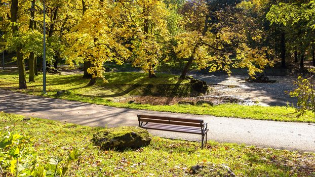Bench in a park at colorful sunny autumn