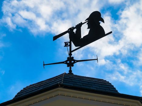 A Weather Vane with person looking through a telescope