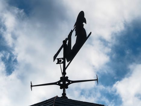 A weather vane with person looking through a telescope