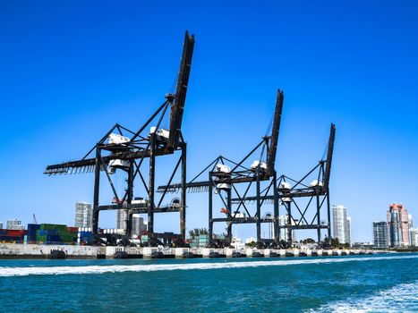 3 black Cranes in the Port of Miami