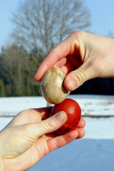 Two hands hold easter eggs and try to break each other's egg. Natural tree and blue sky on background. Easter tradition of cracking eggs