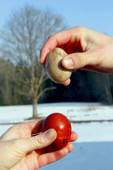 Two hands hold easter eggs and try to break each other's egg. Natural tree and blue sky on background. Easter tradition of cracking eggs