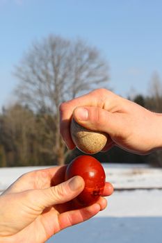 Two hands hold easter eggs and try to break each other's egg. Natural tree and blue sky on background. Easter tradition of cracking eggs