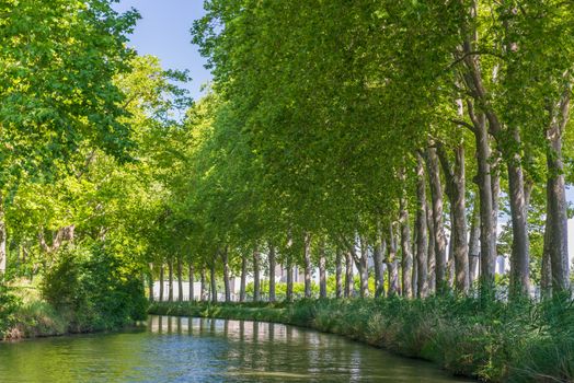 Toulouse,France - ummer look on Canal du Midi canal in Toulouse, southern Franc