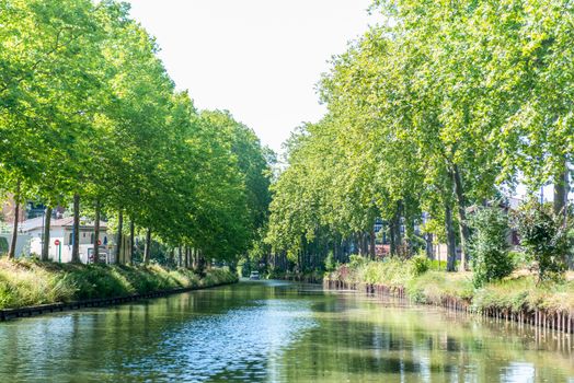 Toulouse,France - ummer look on Canal du Midi canal in Toulouse, southern Franc