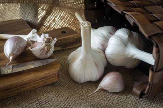 Garlic bulbs and cloves in close-up on sack cloth with kitchen knife and wooden cutting board