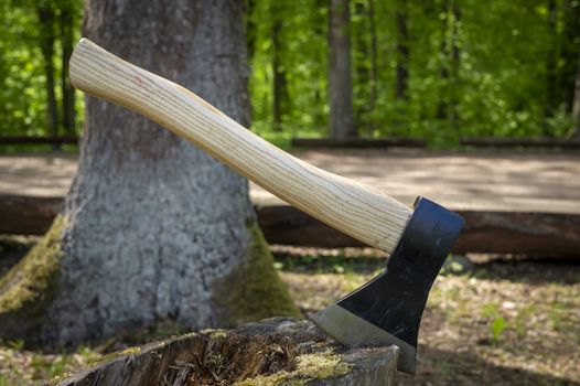 Chopper or axe standing upright in an old tree stump outdoors against a woodland background in spring