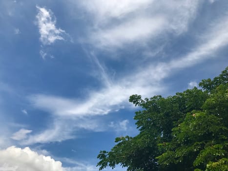 Sky and Tree nature with Bottom right corner