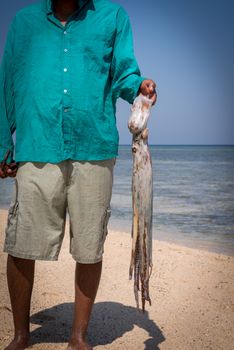 Fisherman after a hunt holding large squid at the beach of Red Sea