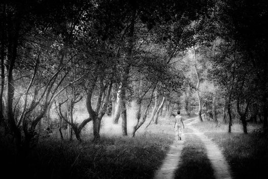 An adult woman is walking in the forest near the city of Kiev in Ukraine. Sun rays pass through the tree branches creating a magic mood