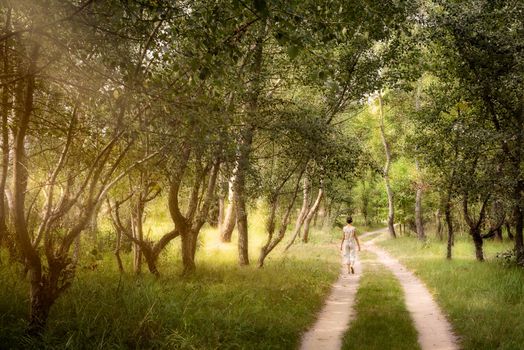 An adult woman is walking in the forest near the city of Kiev in Ukraine. Sun rays pass through the tree branches creating a magic mood