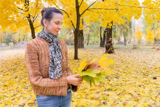 A smiling adult caucasian woman is picking yellow maple leaves in autumn in the park