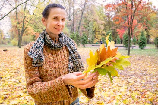 A smiling adult caucasian woman is picking yellow maple leaves in autumn in the park