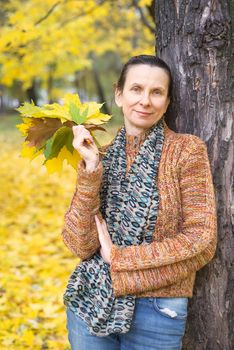 A smiling adult caucasian woman is picking yellow maple leaves in autumn in the park