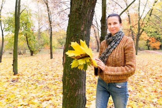 A smiling adult caucasian woman is picking yellow maple leaves in autumn in the park