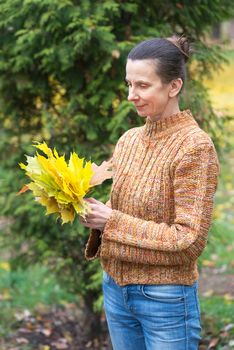 A smiling adult caucasian woman is picking yellow maple leaves in autumn in the park