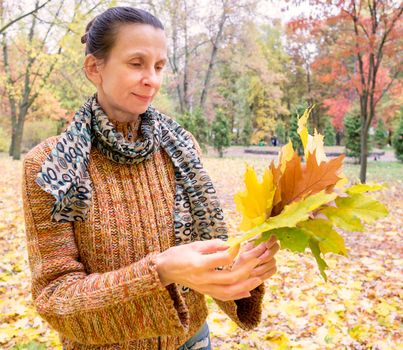 A smiling adult caucasian woman is picking yellow maple leaves in autumn in the park