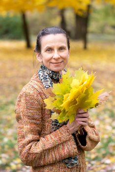 A smiling adult caucasian woman is picking yellow maple leaves in autumn in the park