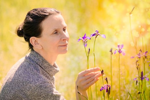 Caucasian adult woman looking a wild iris sibirica flower in the meadow at sunset