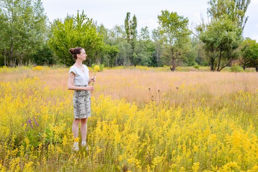 An adult woman stands up in a meadow covered with Galium verum flowers, also known as lady's bedstraw or yellow bedstraw, with a bunch of yellow flowers in her hands, in Kiev, Ukraine