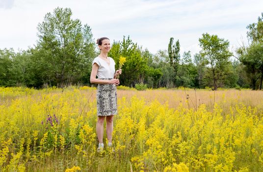An adult woman stands up in a meadow covered with Galium verum flowers, also known as lady's bedstraw or yellow bedstraw, with a bunch of yellow flowers in her hands, in Kiev, Ukraine