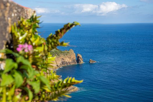 Walk on the Azores archipelago. Discovery of the island of Faial, Azores. Portugal , Horta