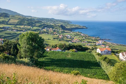 Walk on the Azores archipelago. Discovery of the island of Faial, Azores. Portugal , Horta