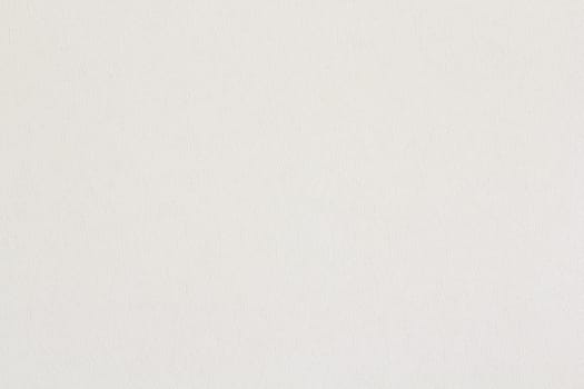 White leaf texture, background and wallpaper style