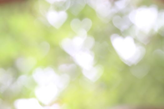 Background green tree soft blurred bokeh nature fresh lighting heart-shaped for valentine and forest herbs wallpaper, Soft bokeh nature Background design