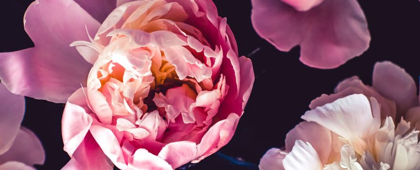 Pink peony flowers as floral art background, botanical flatlay and luxury branding design