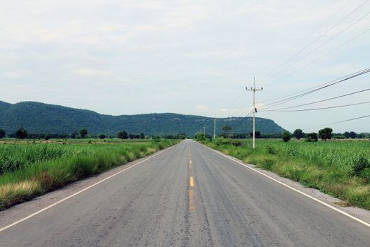 road, street, avenue roadway, countryside road in Thailand