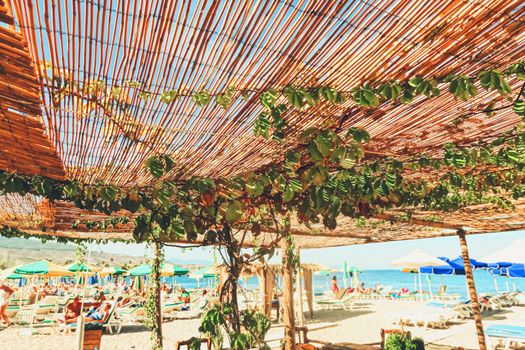 Wooden roof on the beach, nature and design
