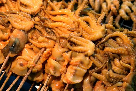 Squid, Fresh squid on panel grid rack in the market