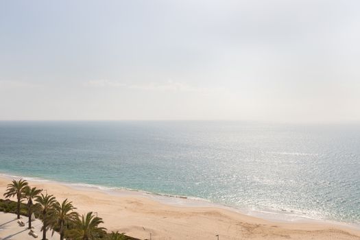 aerial view of Sesimbra beach, Portugal with palm trees and fine sand