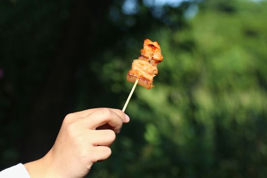 Moo ping (Thai word), Thai styled pork babeque, easy fast food and food street morning time Asia, BBQ on hand