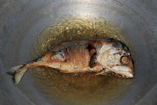 Fried Mackerel fish in a pan with hot boiling oil, Salted Mackerel fish Fried foods