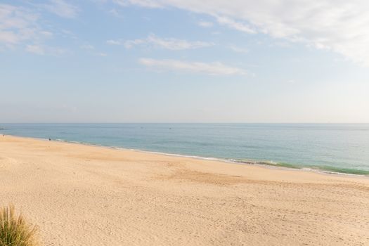 aerial view of Sesimbra beach, Portugal with palm trees and fine sand