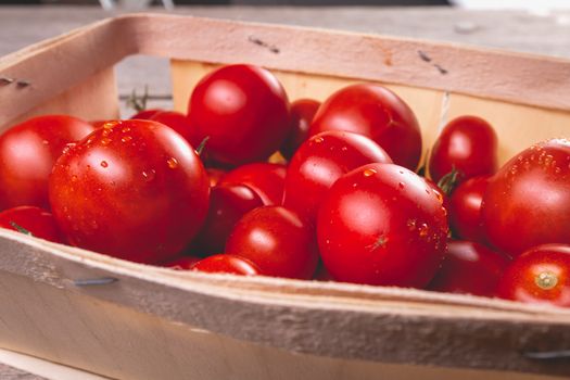 ripe tomatoes in a small wooden crate in studio