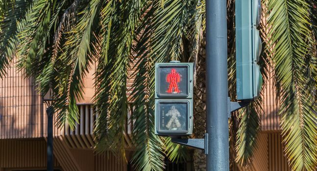 bright red pedestrian light on a street with palms in Spain