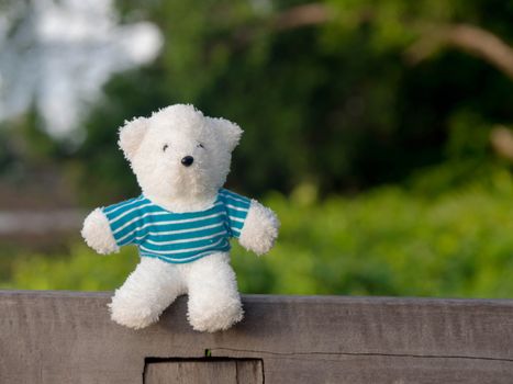 A white teddy bear wearing a blue shirt on the wood behind is a green tree and river.