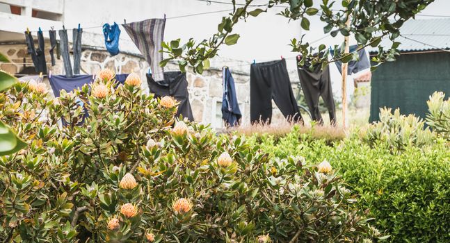 laundry flying in the wind on a laundry tent in Portugal