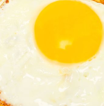 Fried egg background white top yellow