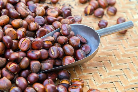 chestnut fried nature backgrounds