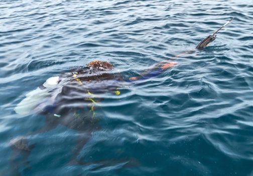 Scuba Diver Swimming in wetsuit neoprene, Spear fisherman with speargun rubbers Underwater blue ocean background in sea