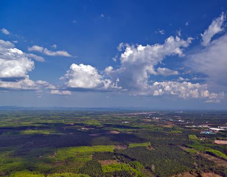 Aerial view on green jungle and blue sky landscape tropical