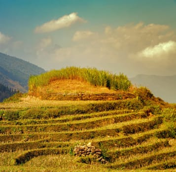 Landscape village of Agriculture Terraced Rice Field and hut on the hill Sa Pa. Lao Cai Province. Vietnam